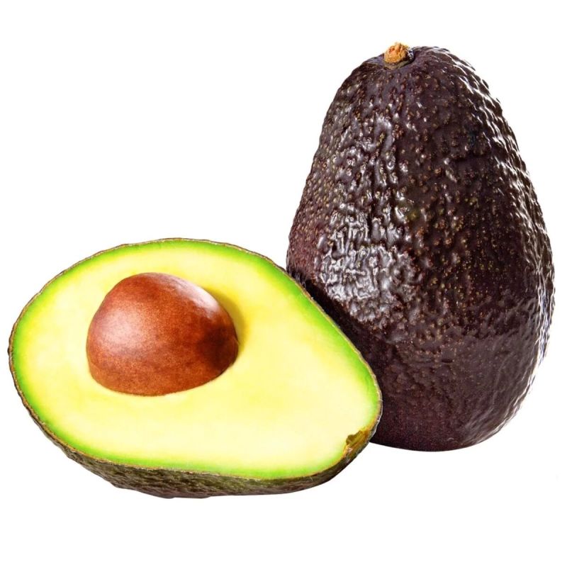 Avocado Hass