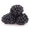 Blackberry Blackberry