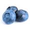 Blueberry Blueberry
