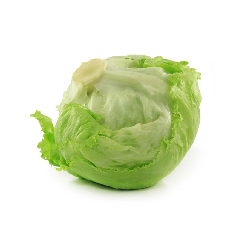 Iceberg lettuce