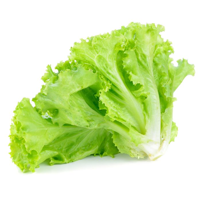 Iceberg lettuce