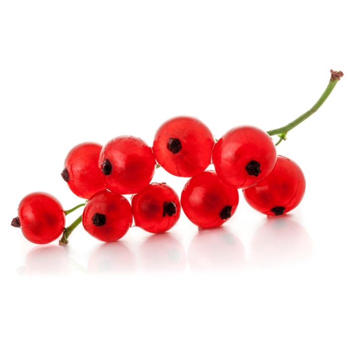 Red Currant